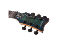 Schecter Schecter